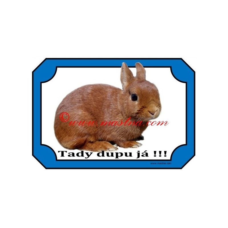 Tabulka králík zakrslý červený