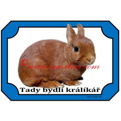 Tabulka králík zakrslý červený