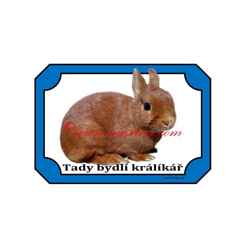 Tabulka králík zakrslý červený