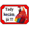 Tabulka papoušek ara zelenokřídlý