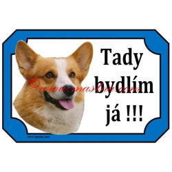 Tabulka velškorgi pembrok