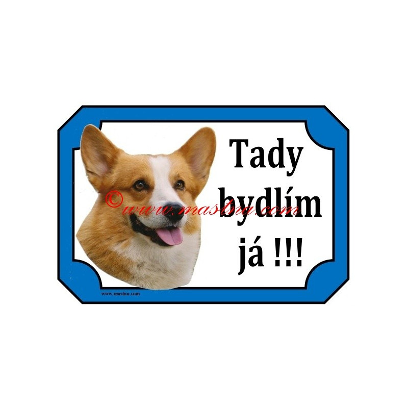 Tabulka velškorgi pembrok