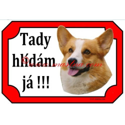 Tabulka velškorgi pembrok