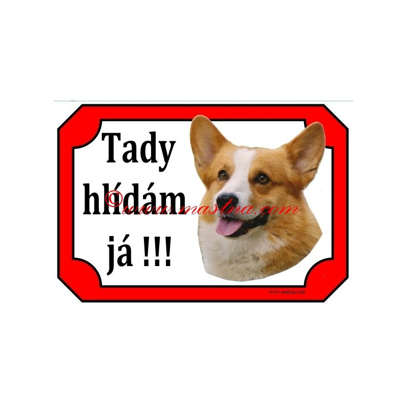 Tabulka velškorgi pembrok