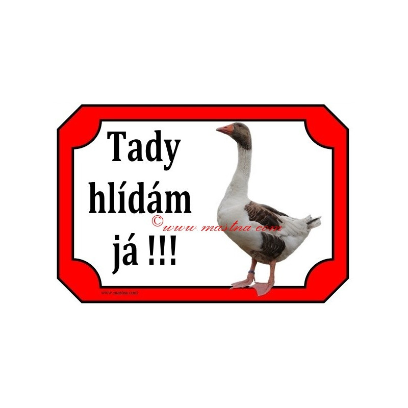 Tabulka husa pomořanská