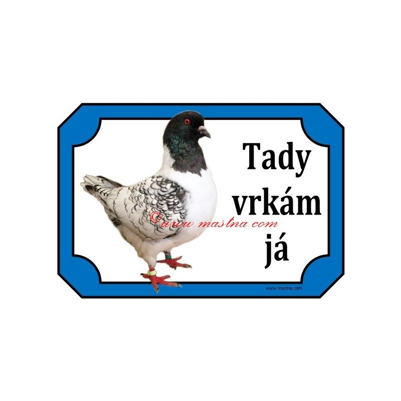 Tabulka holub moravský pštros