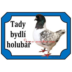 Tabulka holub moravský pštros