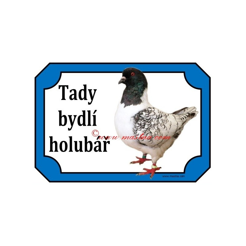 Tabulka holub moravský pštros