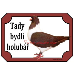 Tabulka holub moravský pštros