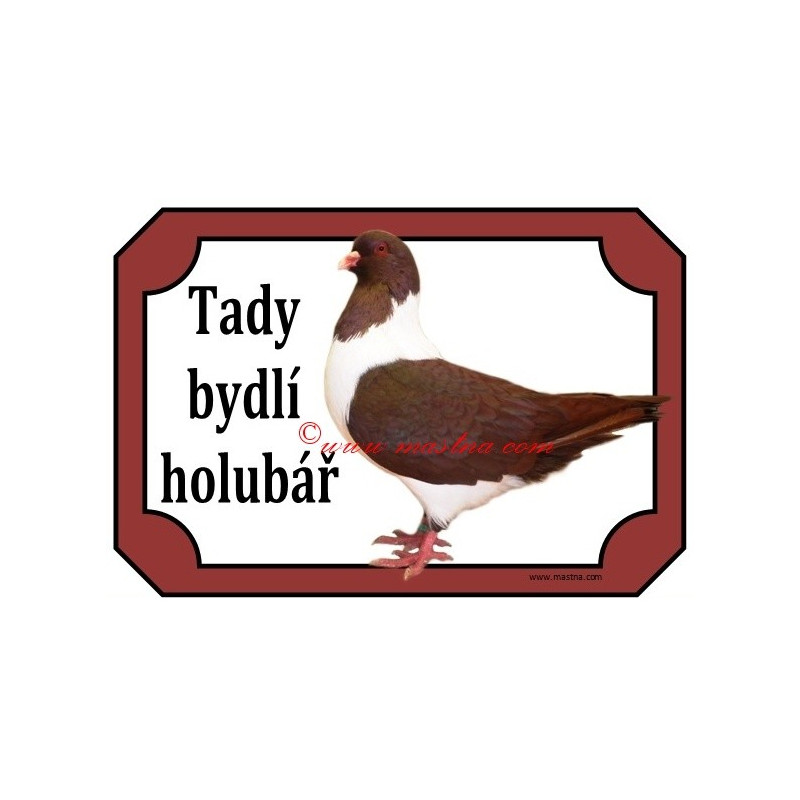 Tabulka holub moravský pštros