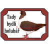 Tabulka holub moravský pštros