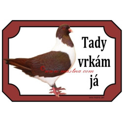 Tabulka holub moravský pštros