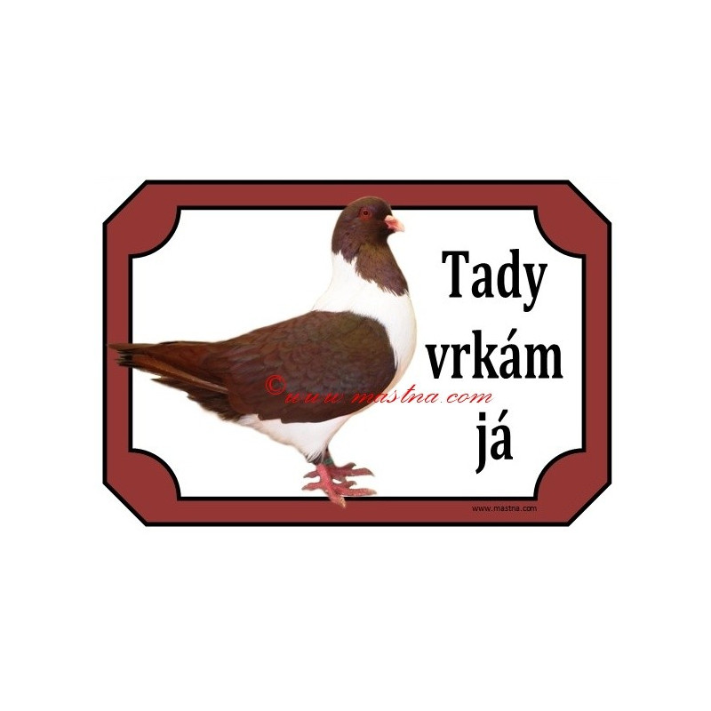 Tabulka holub moravský pštros