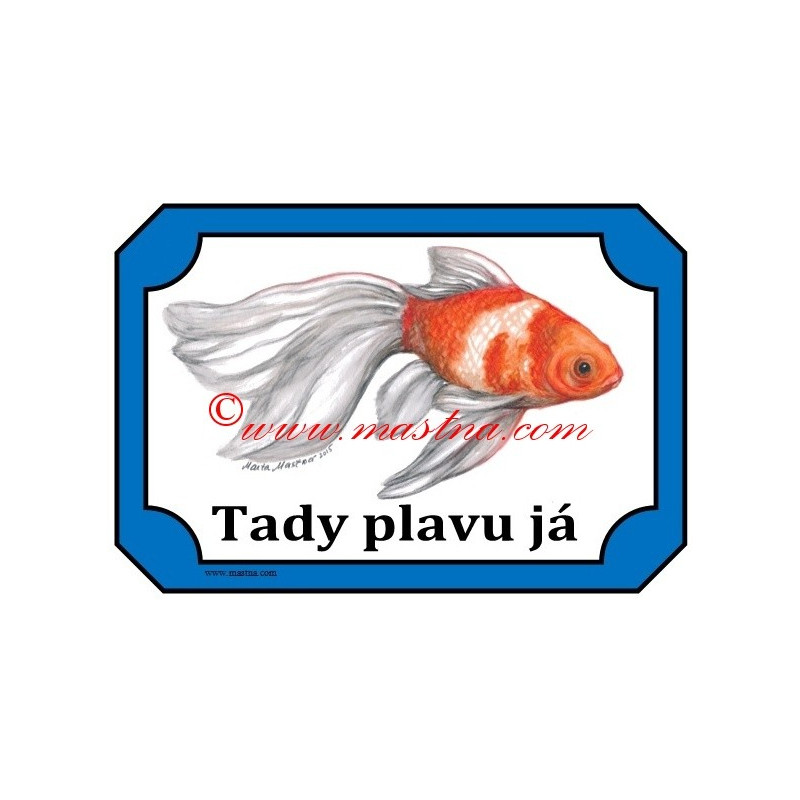 Tabulka závojnatka, ryba, akvaistika