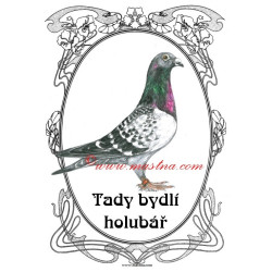 Tabulka holub poštovní