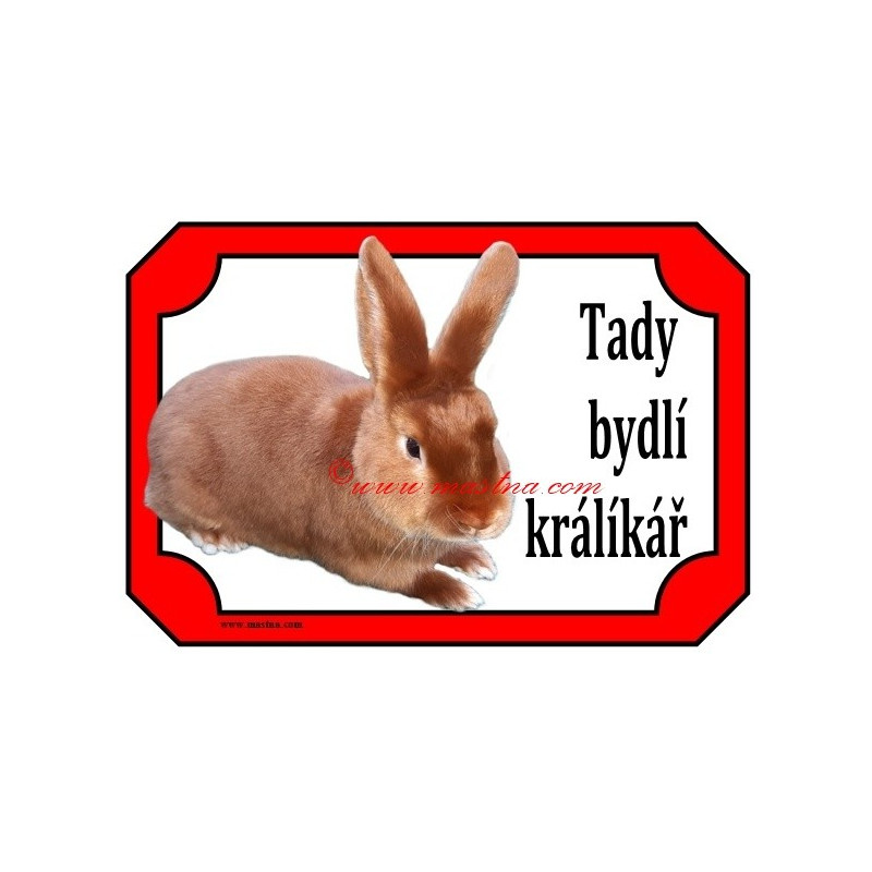 Tabulka králík saténový červený