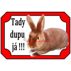 Tabulka králík saténový červený