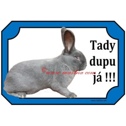 Tabulka králík moravský modrý