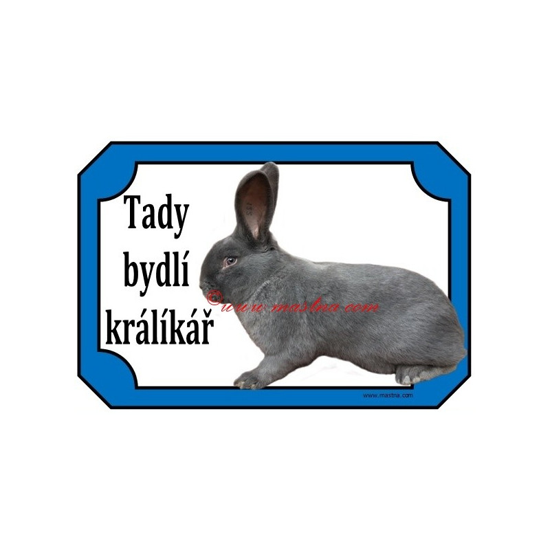 Tabulka králík moravský modrý