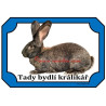 Tabulka králík belgický obr železitý