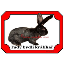 Tabulka králík belgický obr černý