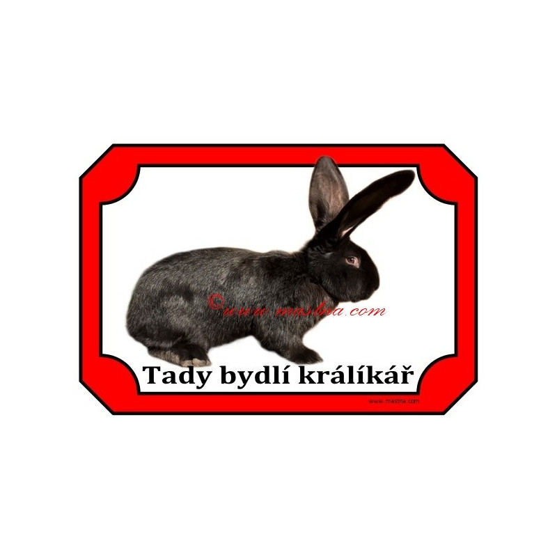 Tabulka králík belgický obr černý