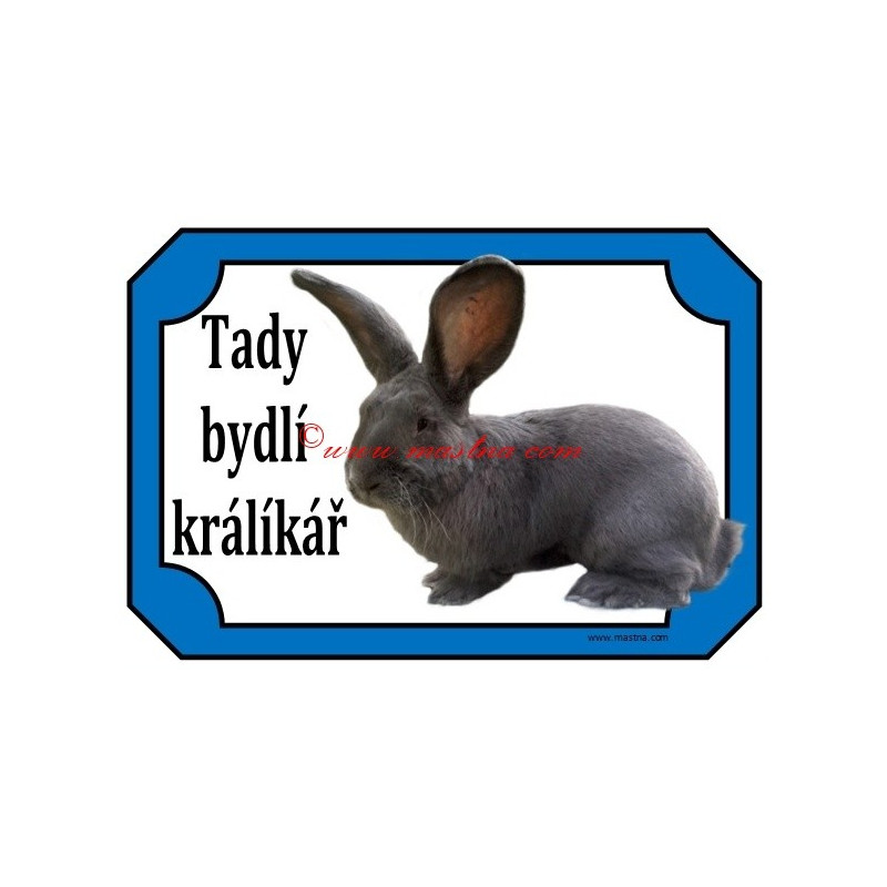 Tabulka králík belgický obr modrý
