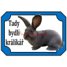 Tabulka králík belgický obr modrý