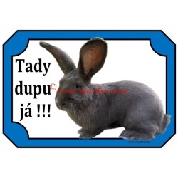 Tabulka králík belgický obr modrý