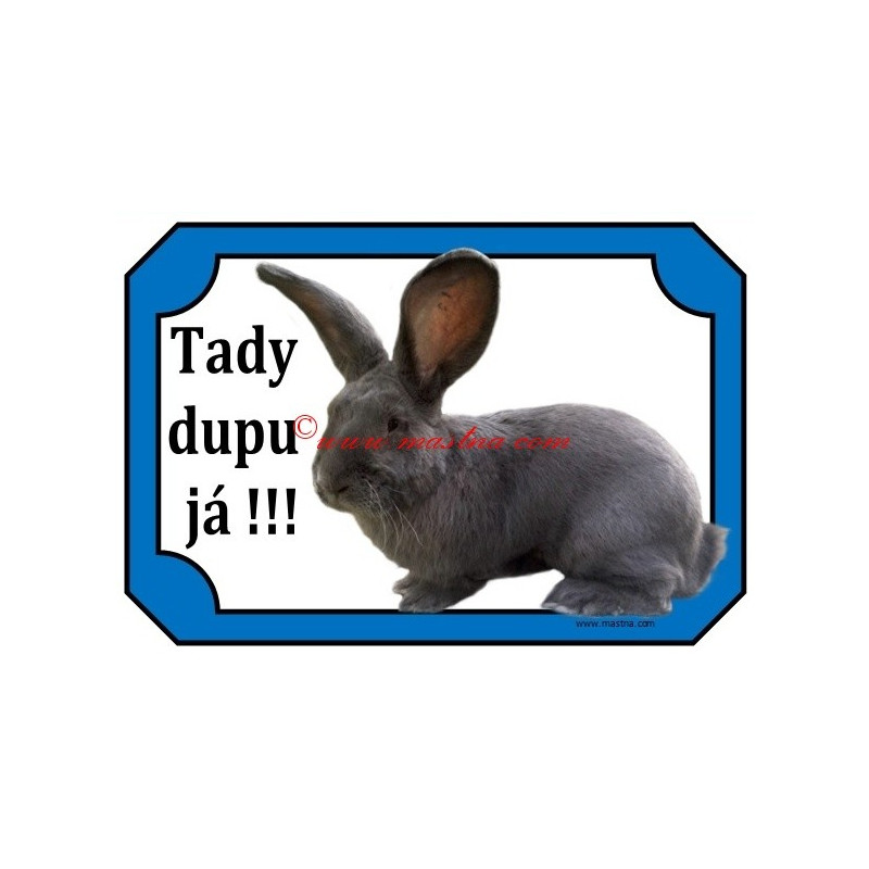 Tabulka králík belgický obr modrý