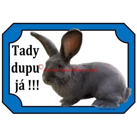 Tabulka králík belgický obr modrý