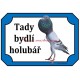 Tabulka holub brněnský voláč