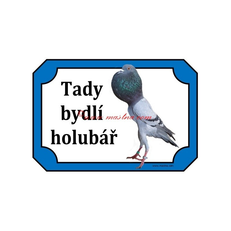 Tabulka holub brněnský voláč