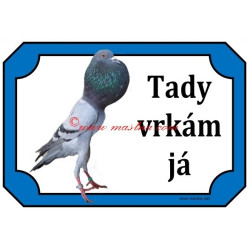 Tabulka holub brněnský voláč