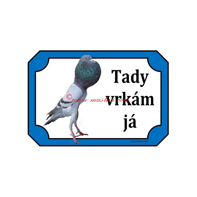 Tabulka holub brněnský voláč