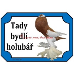 Tabulka holub český voláč