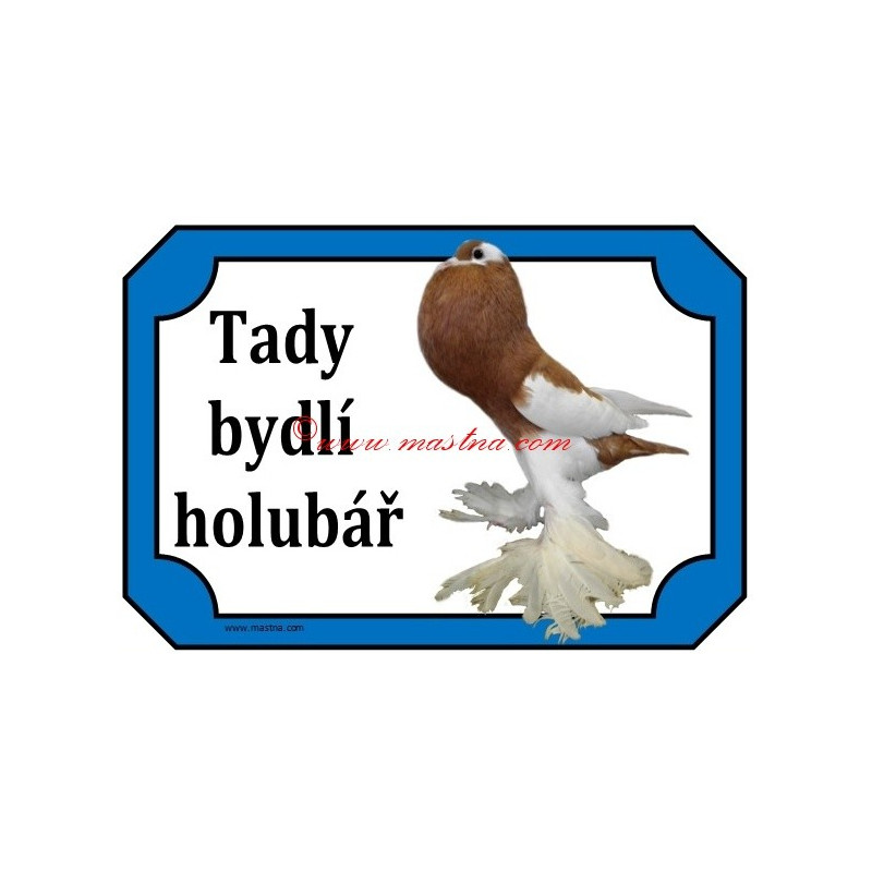 Tabulka holub český voláč