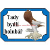 Tabulka holub český voláč