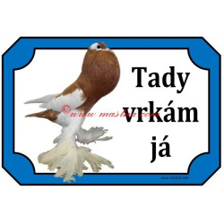 Tabulka holub český voláč