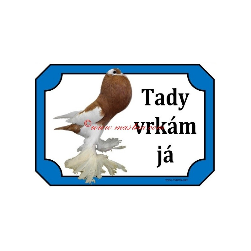 Tabulka holub český voláč