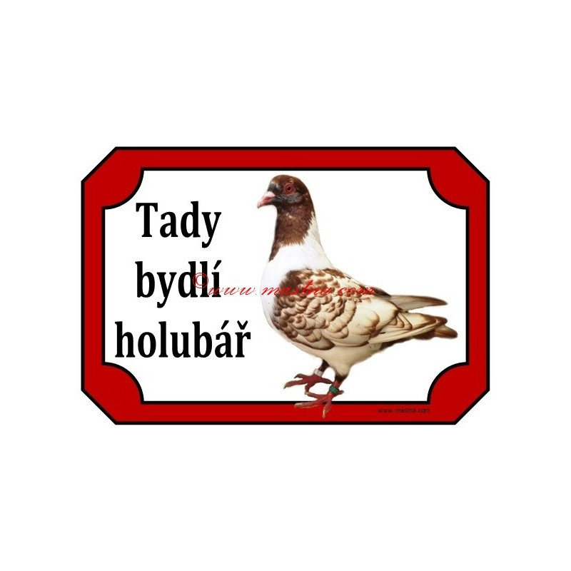 Tabulka holub moravský pštros