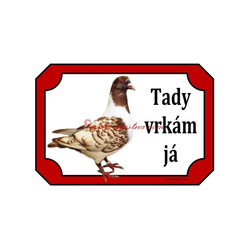 Tabulka holub moravský pštros