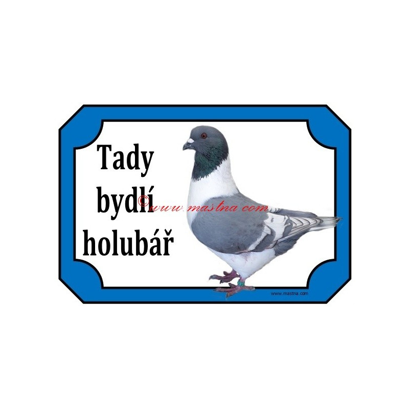 Tabulka holub moravský pštros