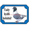 Tabulka holub moravský pštros