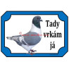 Tabulka holub moravský pštros