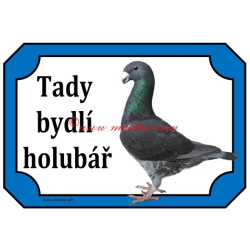Tabulka holub německý výstavní