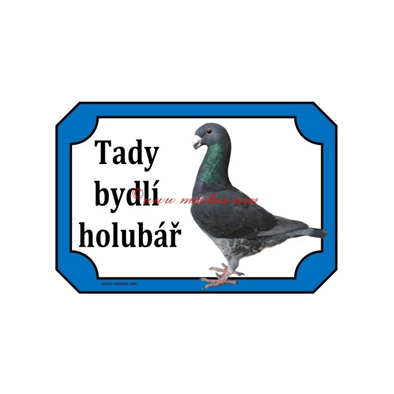Tabulka holub německý výstavní