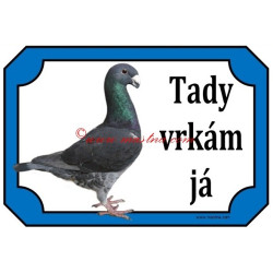 Tabulka holub německý výstavní