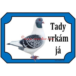 Tabulka holub prácheňský káník