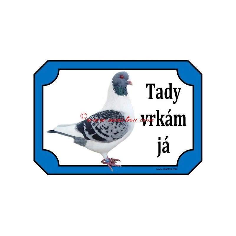 Tabulka holub prácheňský káník